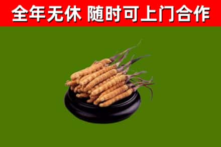 鲅鱼圈烟酒回收冬虫夏草.jpg