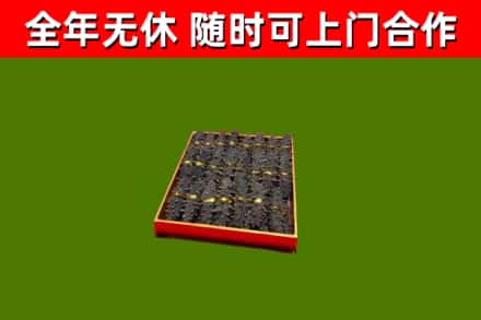 鲅鱼圈回收海参